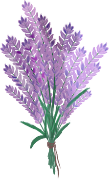 Lavender Icon